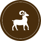 Today Horoscope Aries